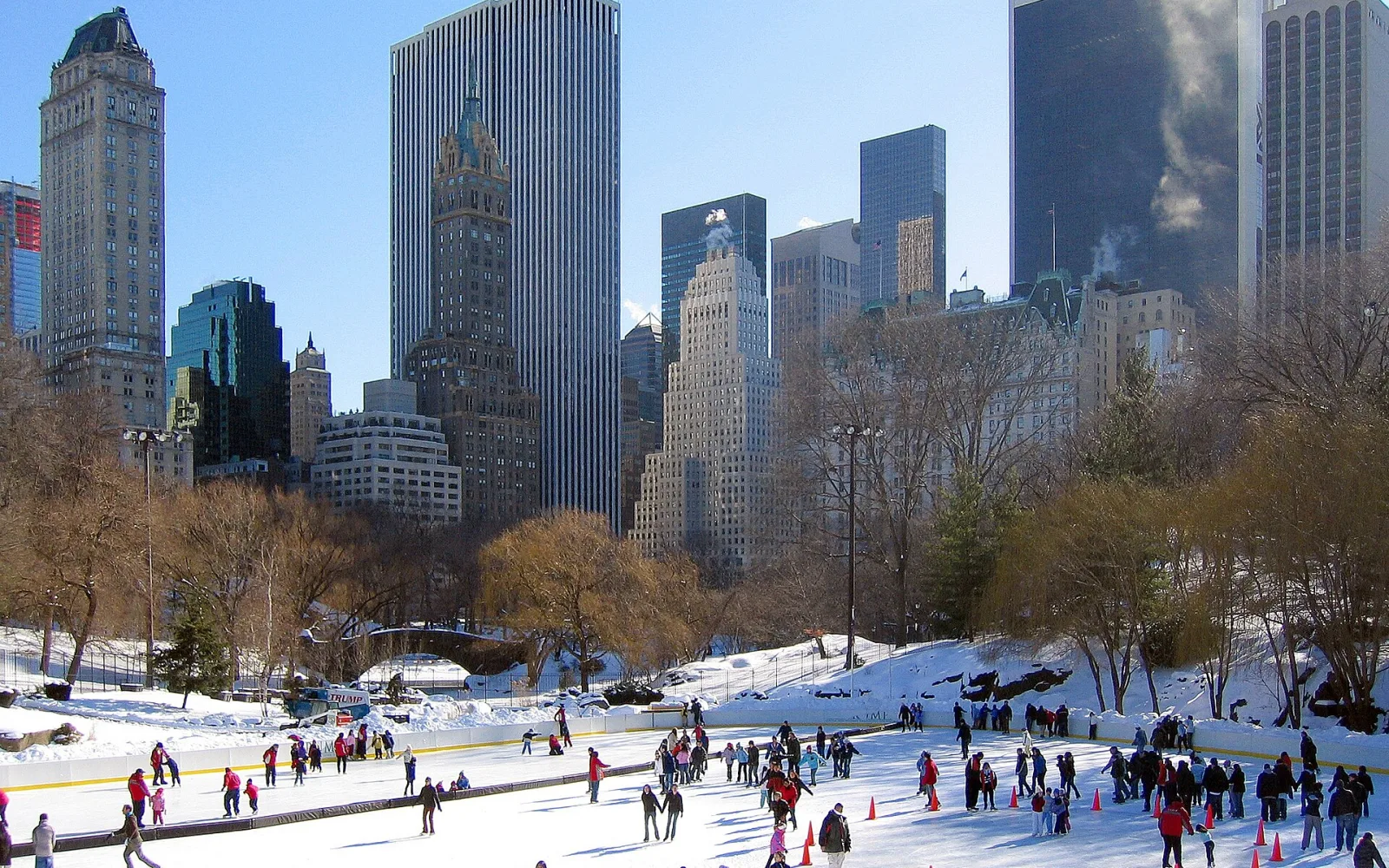 Central Park Wollman Rink