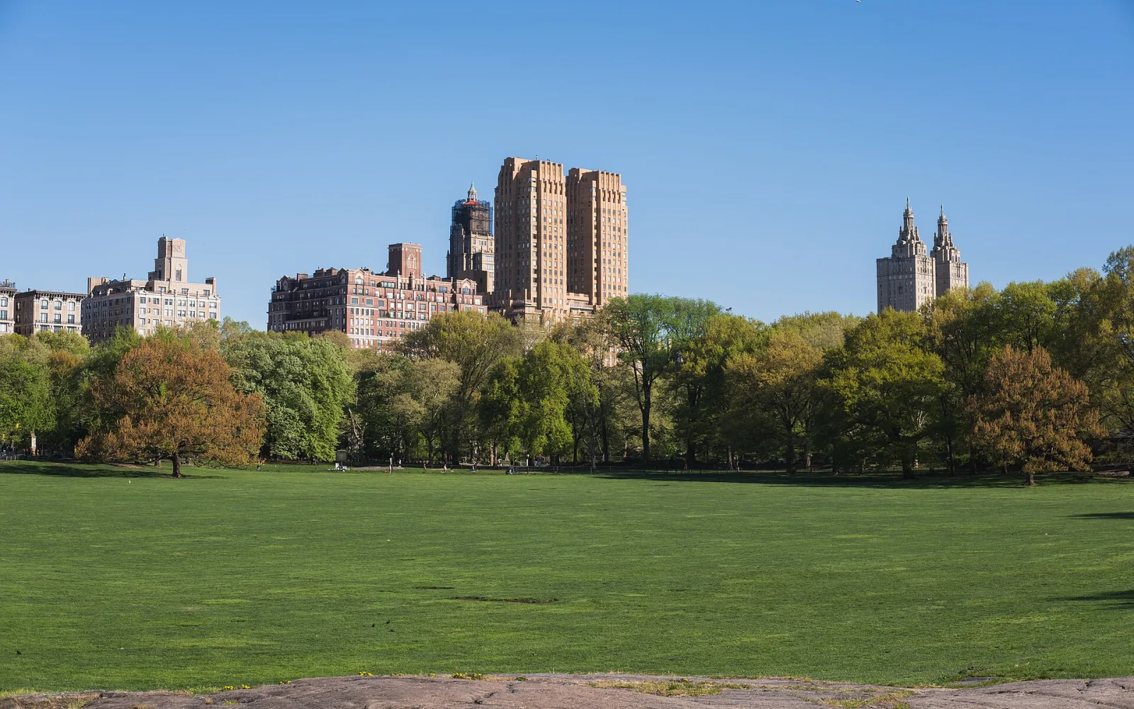 Sheep Meadow, passed on classic southern carriage loops