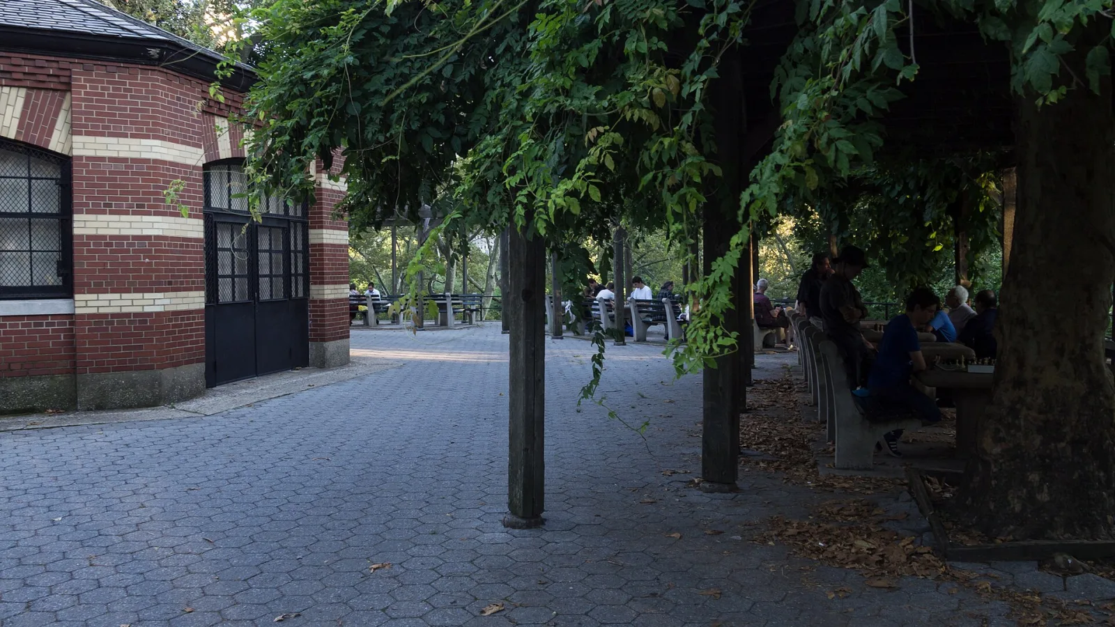 Chess & Checkers House