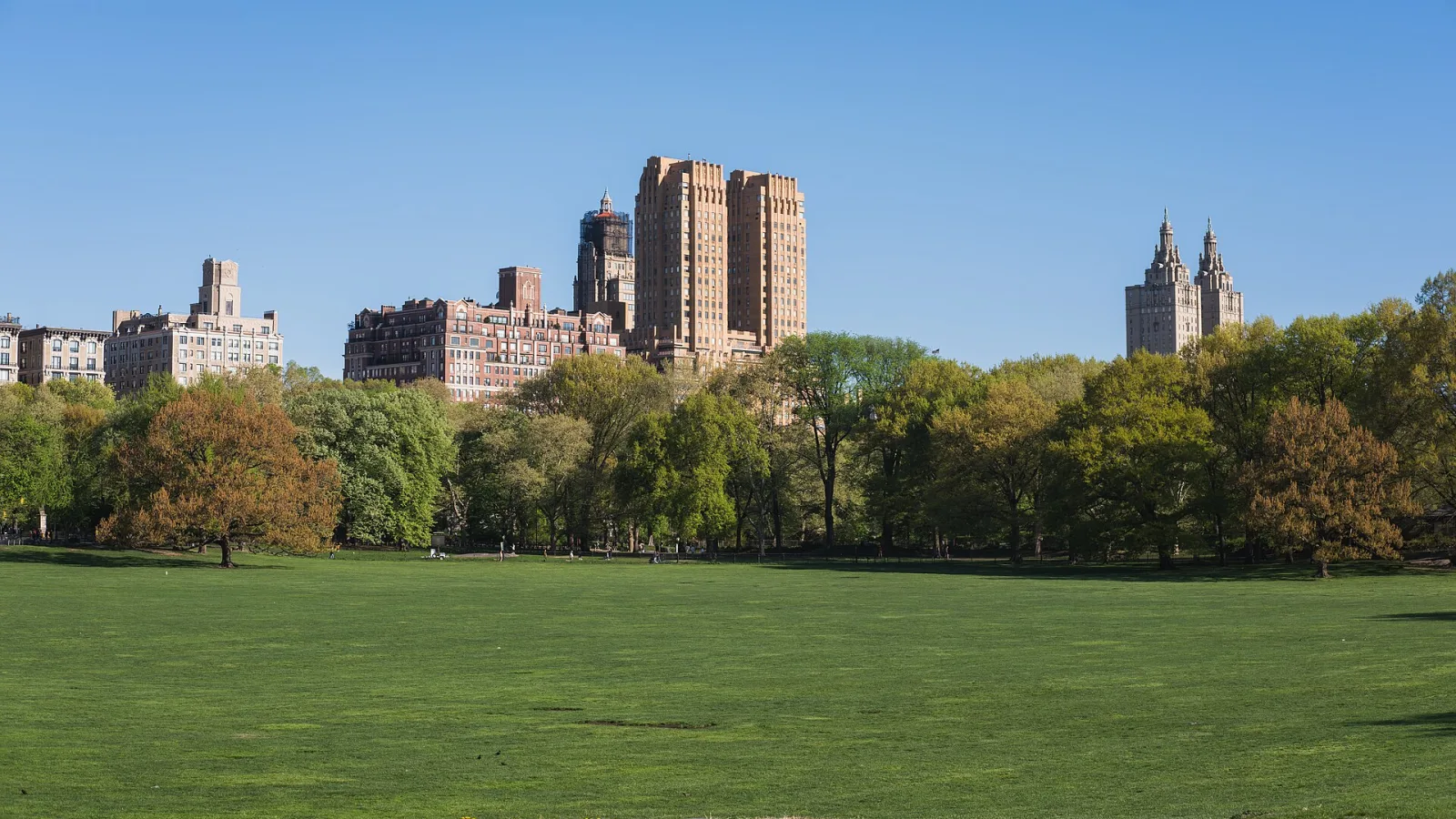 Sheep Meadow
